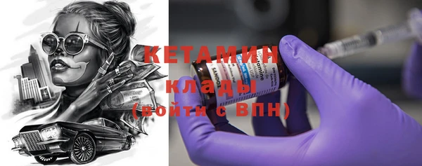 трава Новозыбков