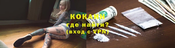 трава Новозыбков