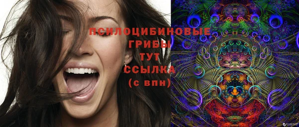 трава Новозыбков