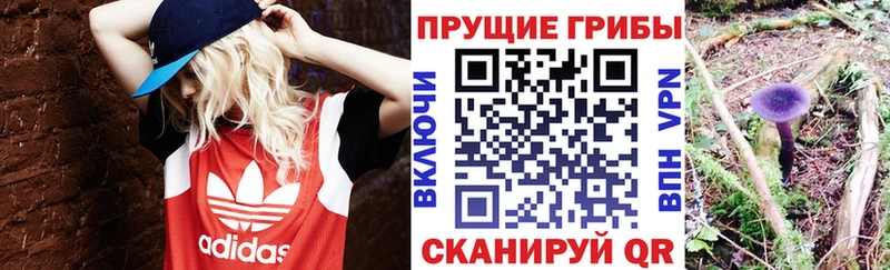 Псилоцибиновые грибы мицелий  Купить закладки  Иваново 